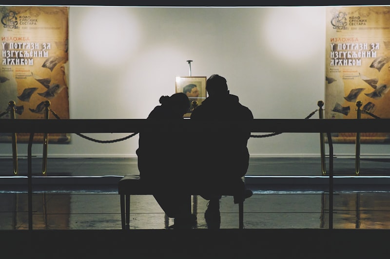 Photo by Igor Rusakov on Unsplash — representative image for Free Little Art Gallery - Essex Jct