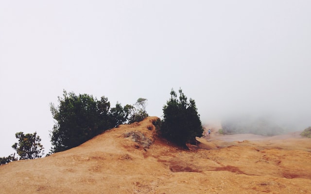 Photo by Ahmet Kurt on Unsplash — representative image for Spring Equinox: Day and Night Art