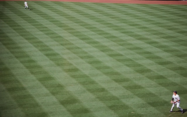 Photo by Bart Jaillet on Unsplash — representative image for Delmarva Shorebirds at Kannapolis Cannon Ballers