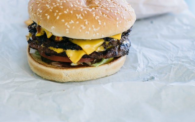 Photo by PJ Gal-Szabo on Unsplash — representative image for Burger King