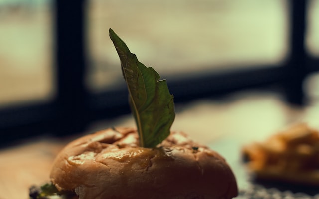 Photo by Yogesh Rahamatkar on Unsplash β representative image for Burger King