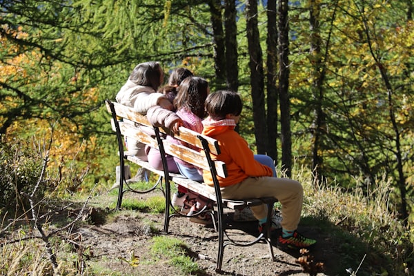 Photo by AarΓ³n Blanco Tejedor on Unsplash β representative image for Morefield Campground