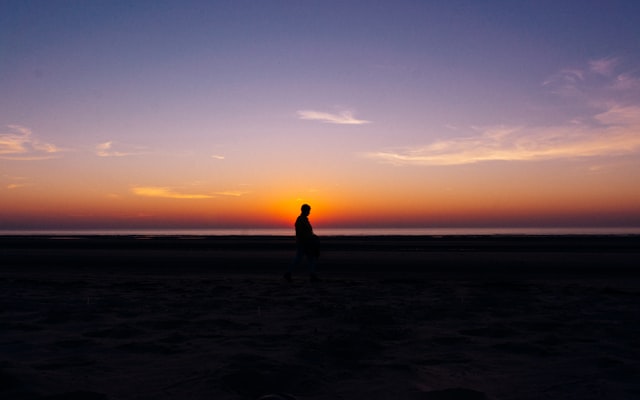 Photo by Tobias Tullius on Unsplash — representative image for Spring Break Movies: Zootopia