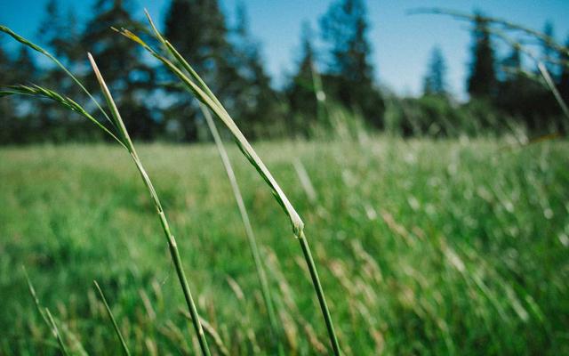 Photo by Khanh Nguyen on Unsplash — representative image for Wok & Roll