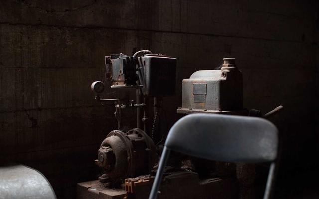 Photo by Miguel Dominguez on Unsplash — representative image for Redwood City Kiwanis Certified Farmers' Market