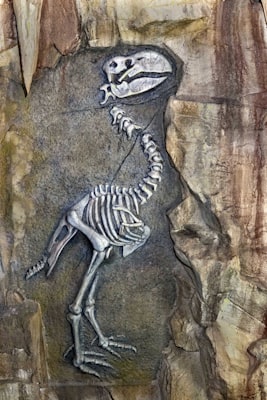 Photo by Preet Patel on Unsplash — representative image for Adult LEGO Night: Dinosaurs