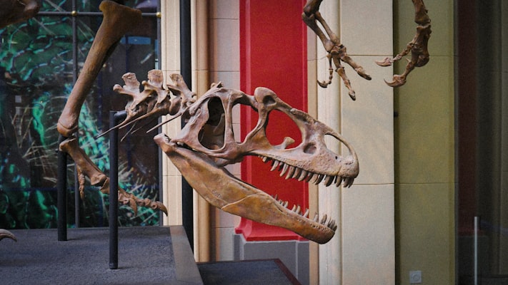 Photo by Arjun Raj on Unsplash — representative image for Backbone Trail - Fossil Ridge