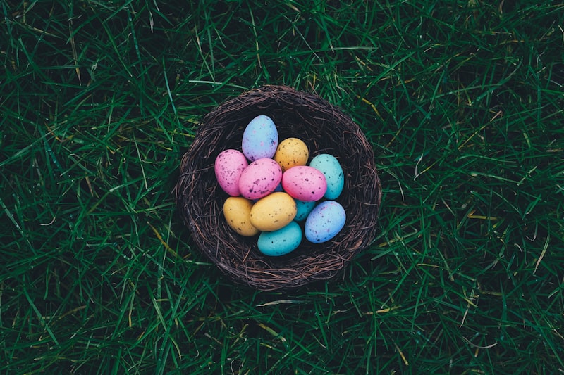 Photo by Annie Spratt on Unsplash β representative image for Job Search Assistance: Goodwill-Easter Seals