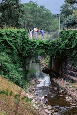 Photo by sayan Nath on Unsplash — representative image for Nature Trail Eggventure