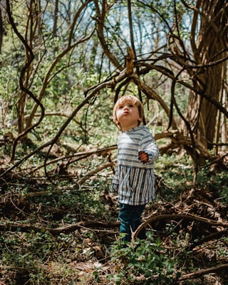 Photo by Kyle Nieber on Unsplash — representative image for Cosmic Camp-in: MUSE Girl Scout Cadettes