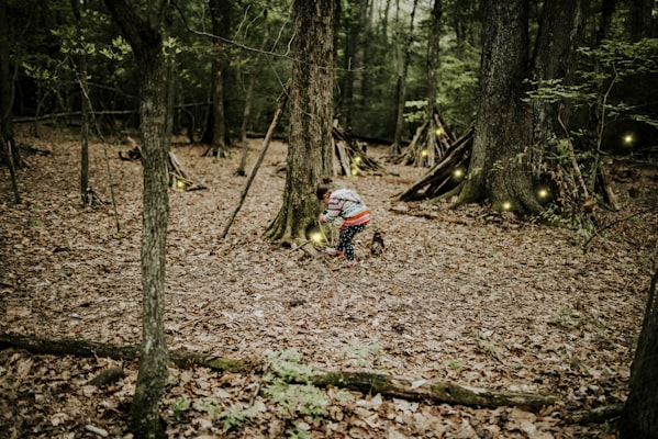 Photo by Sandra Seitamaa on Unsplash — representative image for Explore and Learn