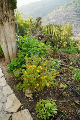 Photo by Unsplash on Unsplash — representative image for YMCA Gardena-Carson Family