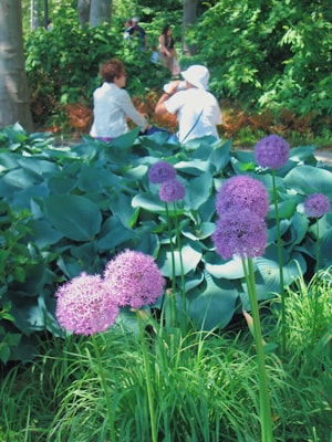 Photo by Unsplash on Unsplash — representative image for Rock Painting at Roswell