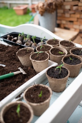 Photo by Unsplash on Unsplash — representative image for Gardendale Farmers' Market