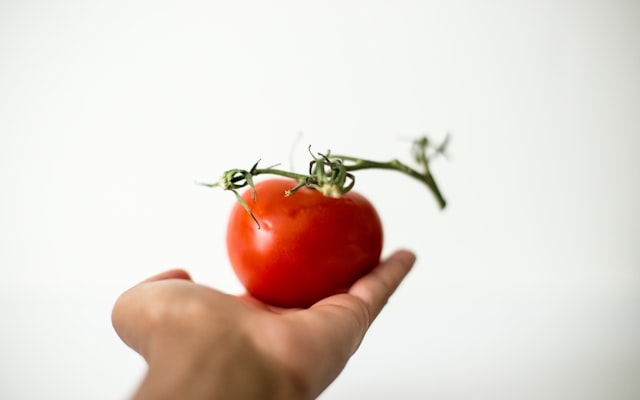 Photo by Leilani Angel on Unsplash — representative image for OMCA Garden