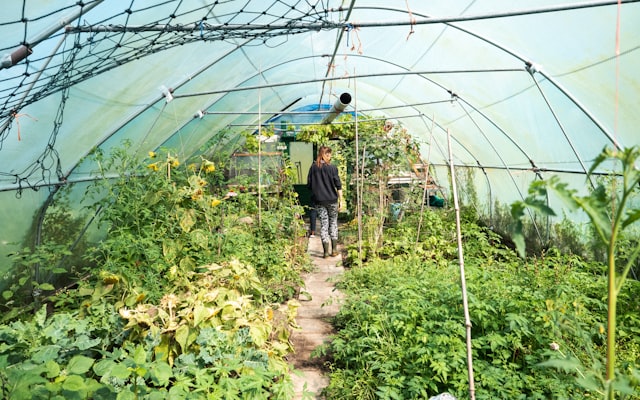 Photo by Frank Holleman on Unsplash — representative image for Filoli Historic House & Garden