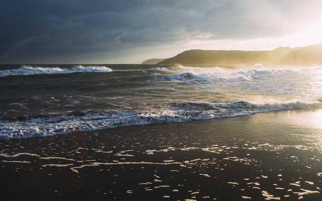 Photo by Picsum on Unsplash β representative image for Genealogy Drop-In