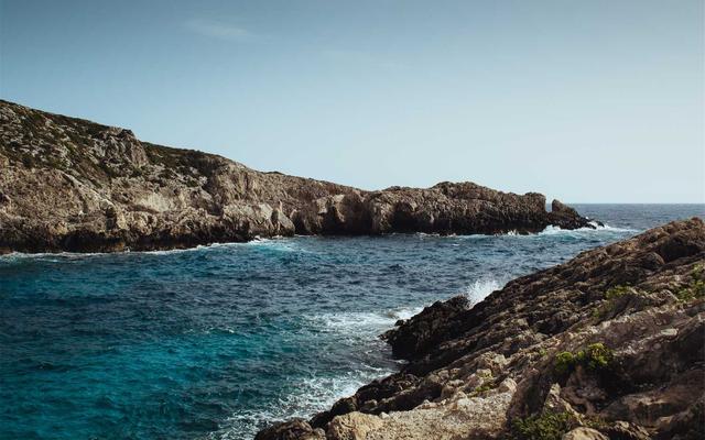 Photo by Eugenia Pan'kiv on Unsplash — representative image for 1:1 Genealogy Session