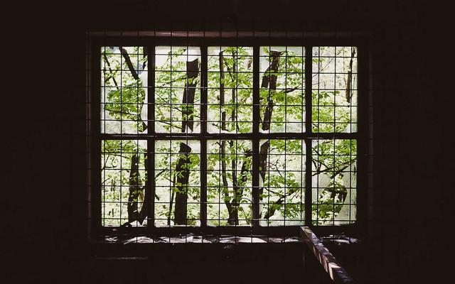 Photo by Picsum on Unsplash — representative image for Anaheim Heritage Center @ The Muzeo