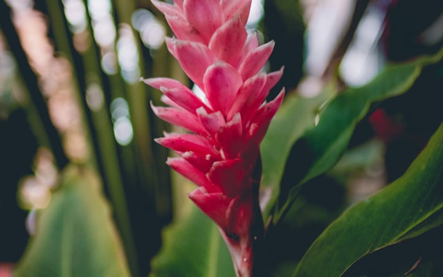 Photo by Ahmed on Unsplash — representative image for TopGolf Northwest Arkansas - Rogers