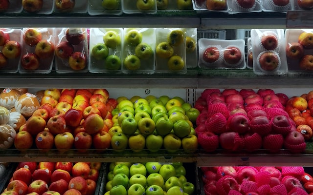 Photo by Elrica Putri on Unsplash β representative image for Euro Food