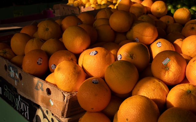 Photo by Izaac Crayton on Unsplash — representative image for American Cottonseed Network