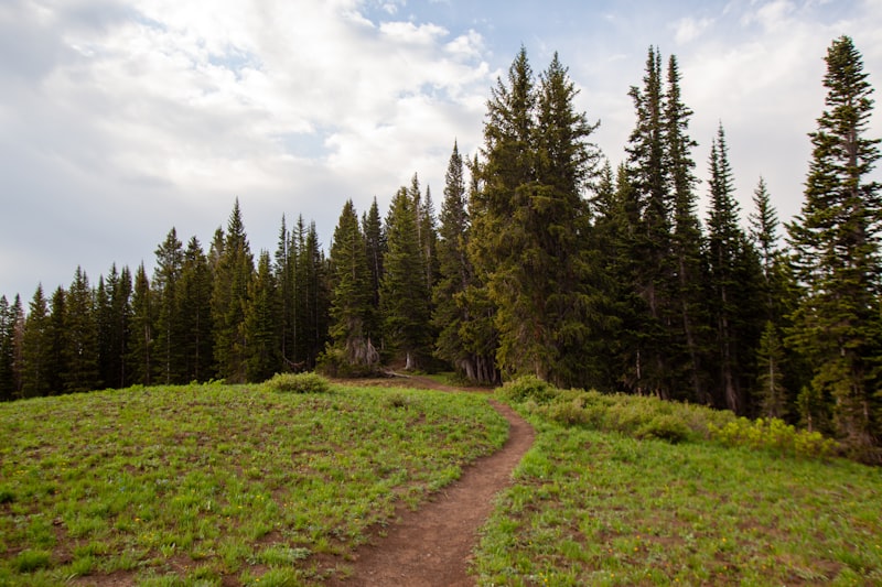 Photo by Backroad Packers on Unsplash — representative image for Oakland Summit Apartments