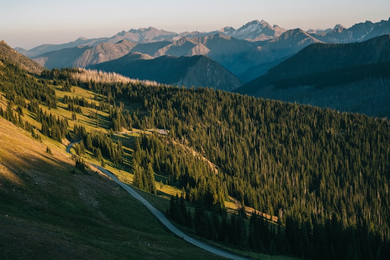 Photo by Brendan Morrison on Unsplash — representative image for Flattop Mountain Shuttle