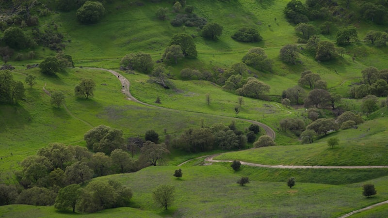 Photo by Dorsa Fathollahi on Unsplash — representative image for Route 66: From Trails to Truck Stops