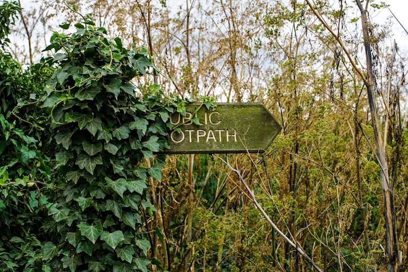 Photo by Tom Wheatley on Unsplash — representative image for PINNACLE PEAK RD: CAVE CREEK RD - 40TH ST