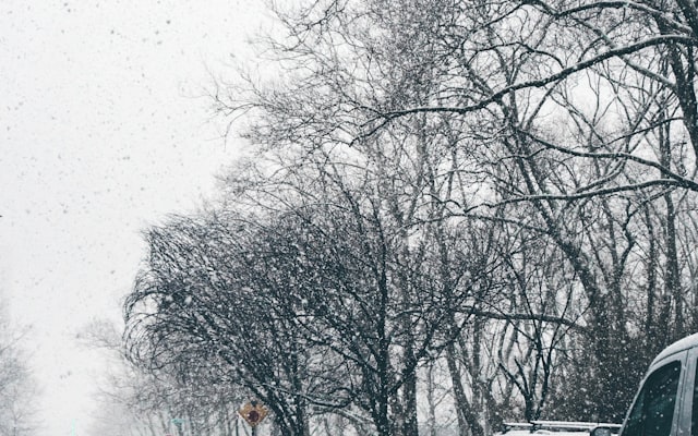 Photo by Rodion Kutsaiev on Unsplash — representative image for Sunbury / Columbus North KOA Holiday