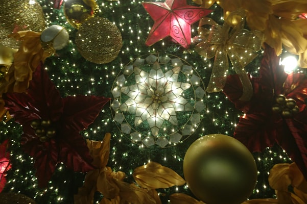 Photo by Unsplash on Unsplash — representative image for Tellico Plains / Cherokee National Forest KOA Holiday