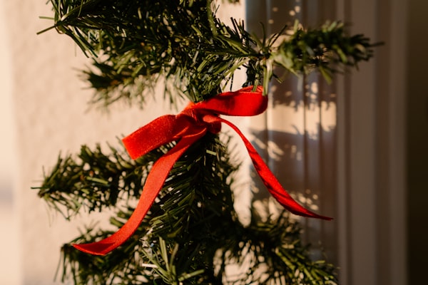 Photo by Unsplash on Unsplash — representative image for Spearfish / Black Hills KOA Holiday