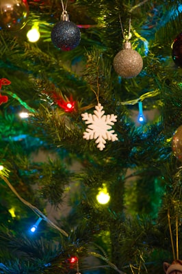 Photo by Unsplash on Unsplash — representative image for Black QTGNC Writers' Circle