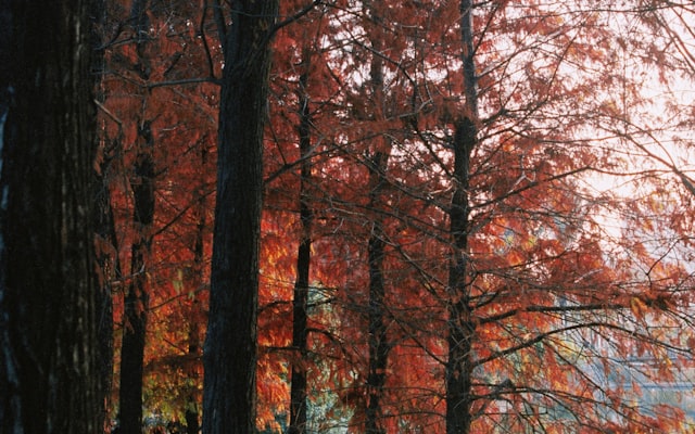 Photo by Jun Ren on Unsplash — representative image for Concrete / Grandy Creek KOA Holiday