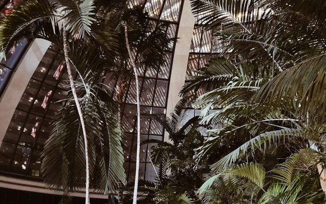 Photo by Jorge Vidales on Unsplash — representative image for Motel 6 Brinkley, AR