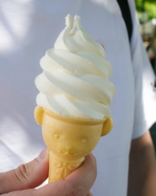 Photo by Unsplash on Unsplash — representative image for Family Craft: Ice Cream Cones