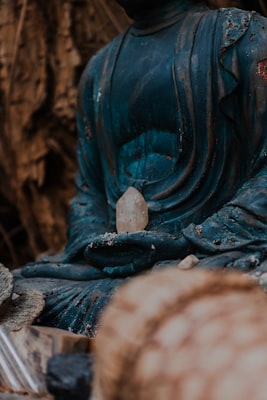 Photo by Vitaly Gariev on Unsplash — representative image for Mindfulness Meditation