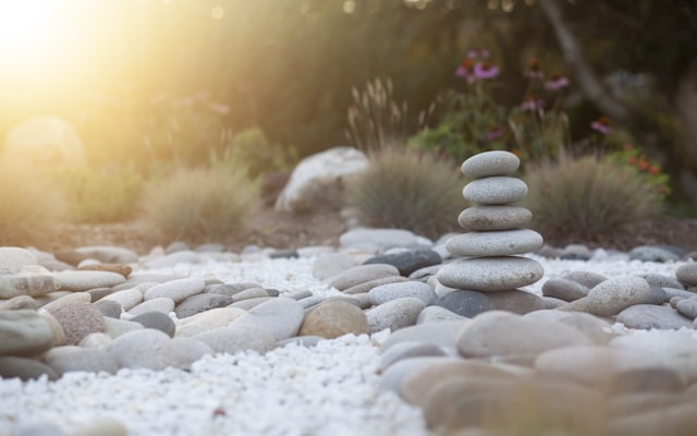 Photo by Karolina Grabowska on Unsplash — representative image for Monday Morning Meditation & Mindfulness