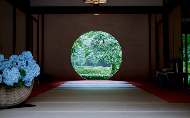 Photo by Andrea Sun on Unsplash — representative image for Meditation with Sara