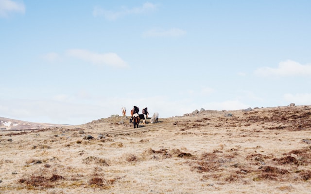 Photo by Pramod Tiwari on Unsplash — representative image for Storytime at Fort Ben - Baby & Toddler