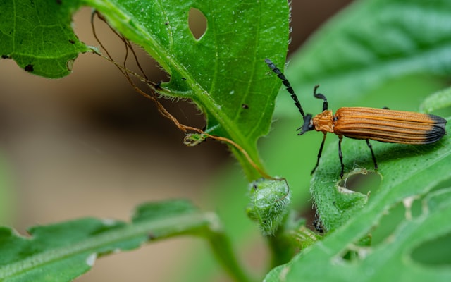 Photo by oktavianus mulyadi on Unsplash — representative image for Von Braun Center