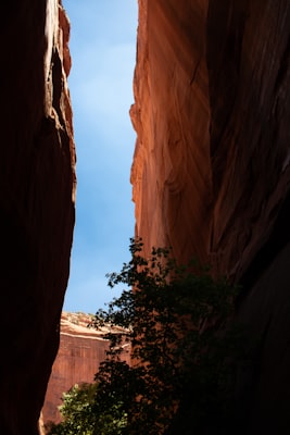 Photo by Unsplash on Unsplash — representative image for Farmers Park Market