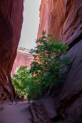 Photo by Unsplash on Unsplash — representative image for Brookmeade Park