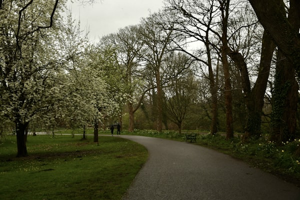 park image