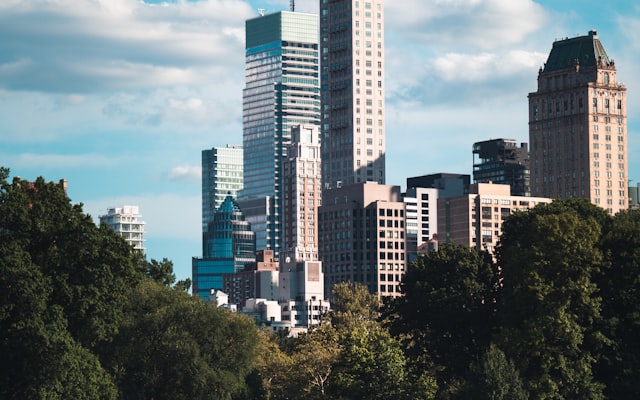 Park bench under trees
