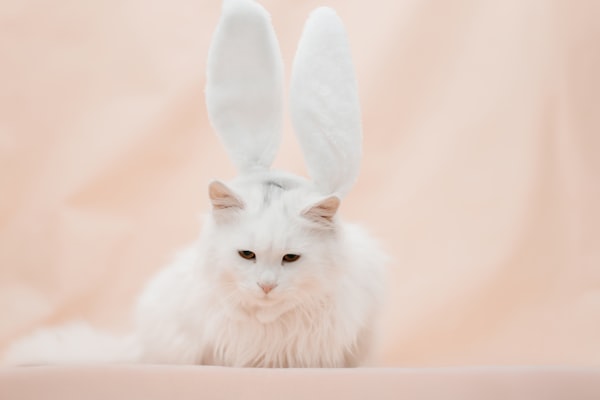 Photo by Unsplash on Unsplash — representative image for Lemos Farm