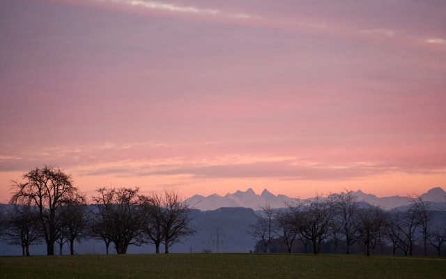 Photo by Getty Images on Unsplash — representative image for Family Storytime