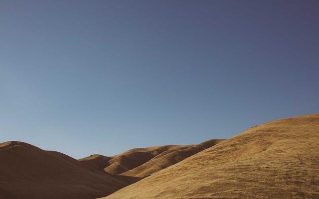 Photo by Picsum on Unsplash — representative image for OMCA Lecture Hall