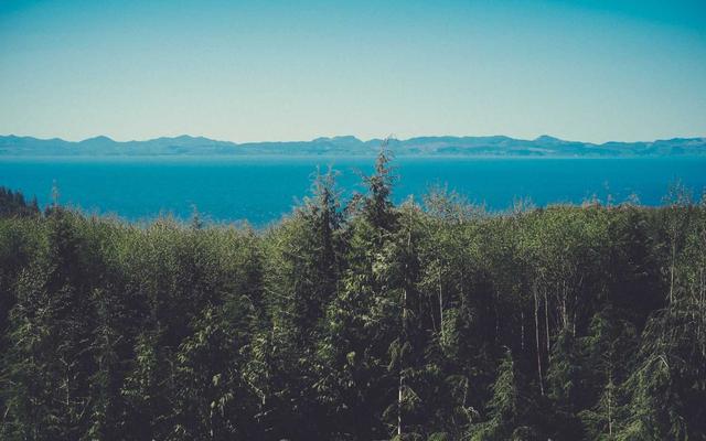 Photo by Bruno Martins on Unsplash β representative image for Sparks Wings & Ribs